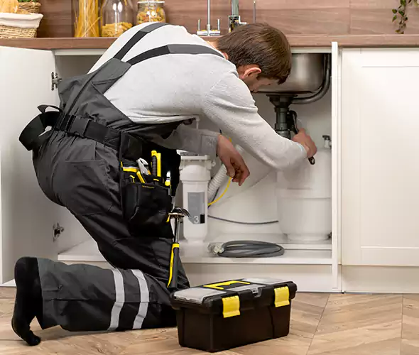 Certified Plumbers for Insinkerator Installation in Carrollton