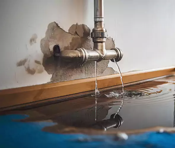 Professional Water Damage Restoration Experts in Carrollton, TX — Fast, Reliable & Certified