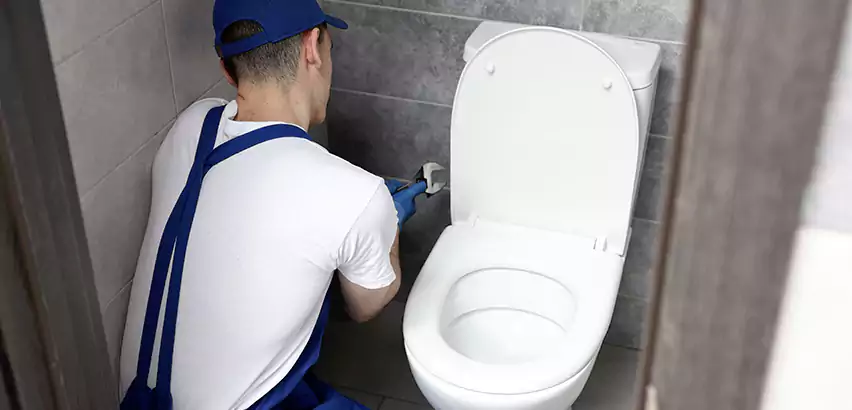 Toilet Lid Replacement in Carrollton