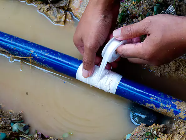  Why Choose First Call Carrollton Plumbing for Leak Detection in Carrollton, TX?]