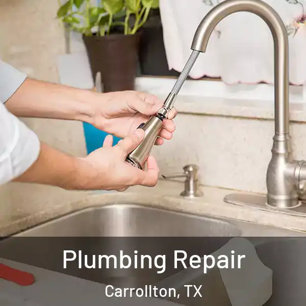  Plumbing Repair Carrollton, TX