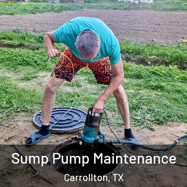  Sump Pump Maintenance Carrollton, TX