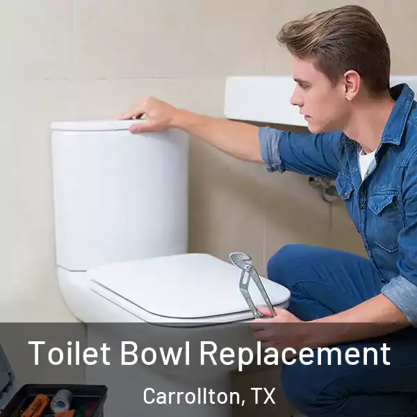  Toilet Bowl Replacement Carrollton, TX