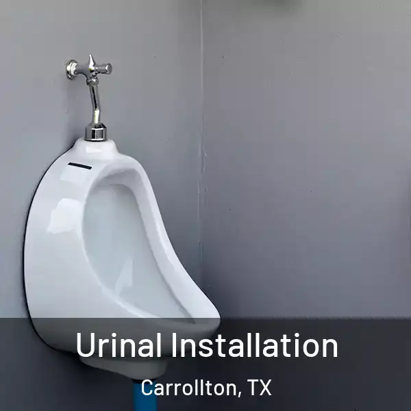  Urinal Installation Carrollton, TX