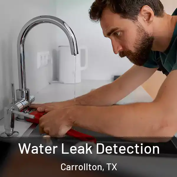  Water Leak Detection Carrollton, TX