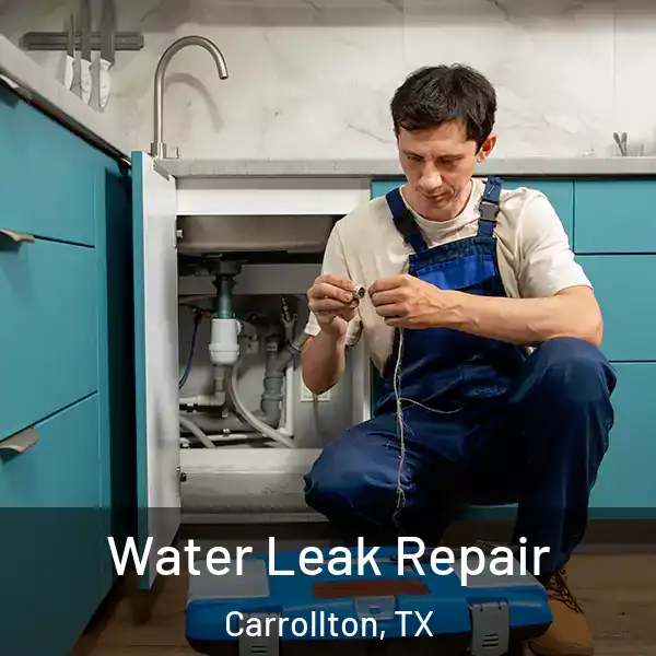  Water Leak Repair Carrollton, TX